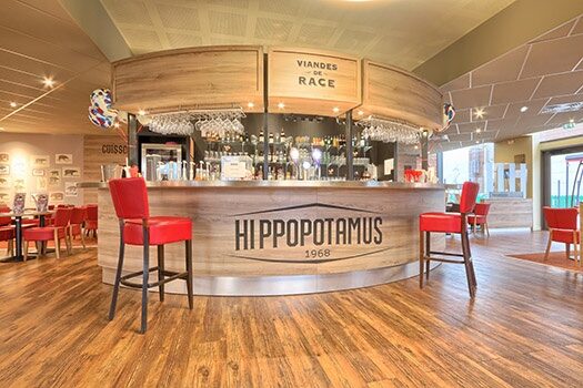 Hippopotamus