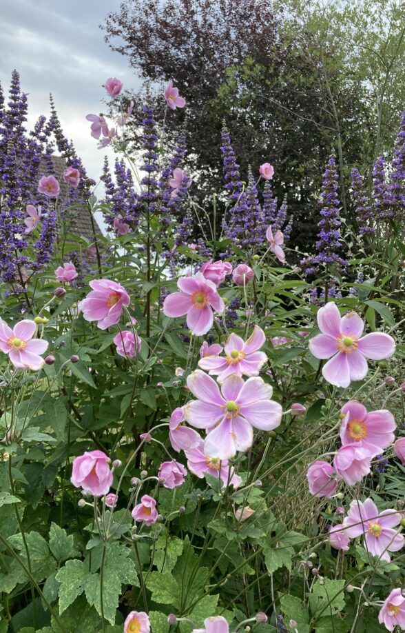Au jardin