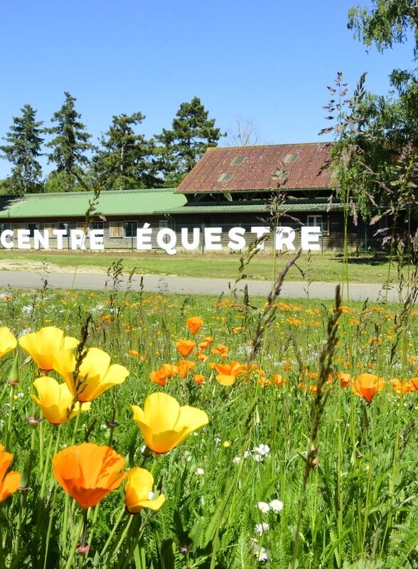 Centre équestre Ile de loisirs Val de Seine