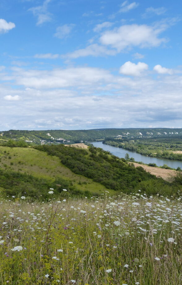 Vallée de la Seine