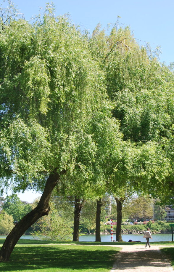 Départ 1 - Parc Corbière