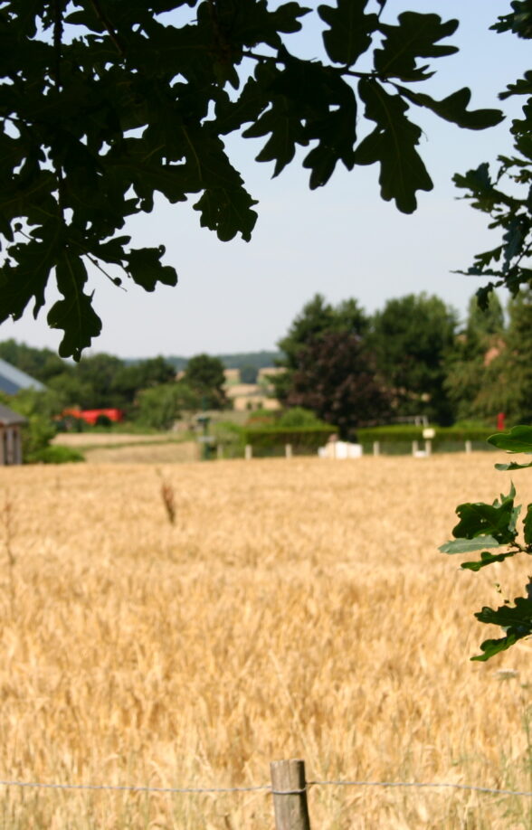 Le Tartre Gaudran
