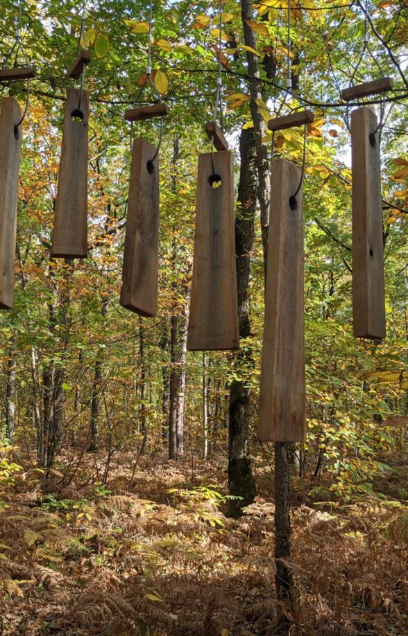 Parcours « Le gobelin de Méridon » et « Balade en compagnie d’un forestier » en forêt départementale de Méridon_Chevreuse