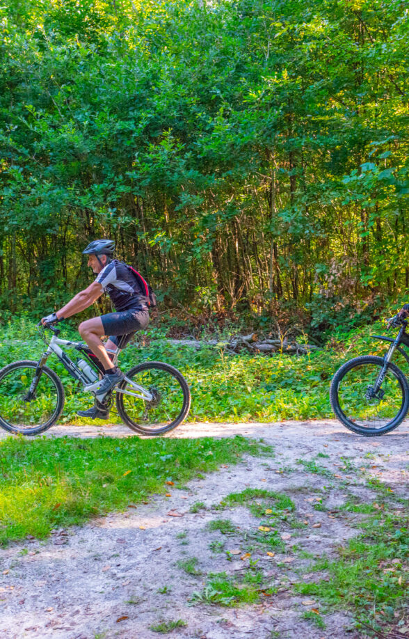 Forêt de Rambouillet en vélo