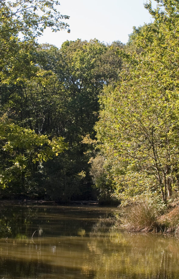 Parcours « La quête de Flamme » en forêt départementale des Flambertins_Crespières