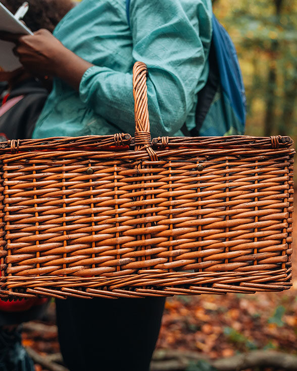 Les secrets des champignons en forêt de Marly_Chambourcy