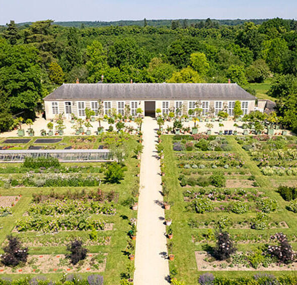 Chateau de Versailles - Découvrez le Jardin du Parfumeur !_Versailles