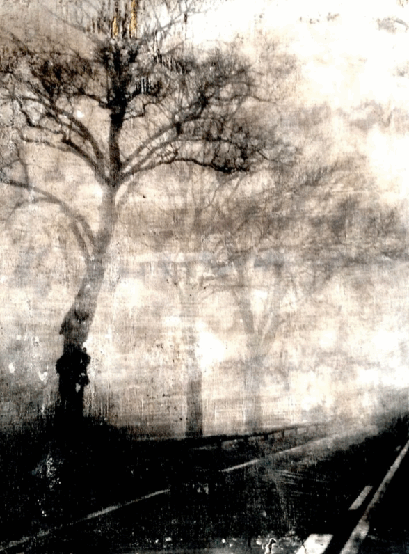 Exposition "Métamorphoses photographiques"_Rambouillet