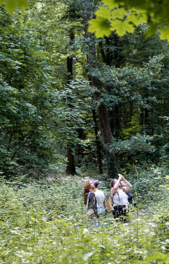 Merveilles de la Nature au bord de la Bièvre (balade découverte)_Jouy-en-Josas