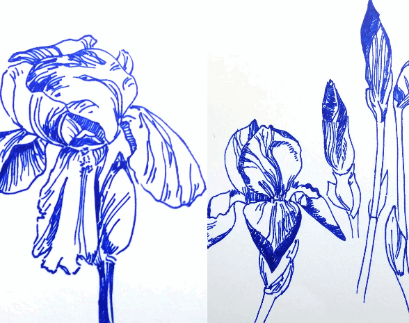 Amélie Gouraud, dessinatrice-sérigraphe_Houilles