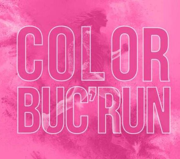 Château de Buc - Color Buc'Run_Buc