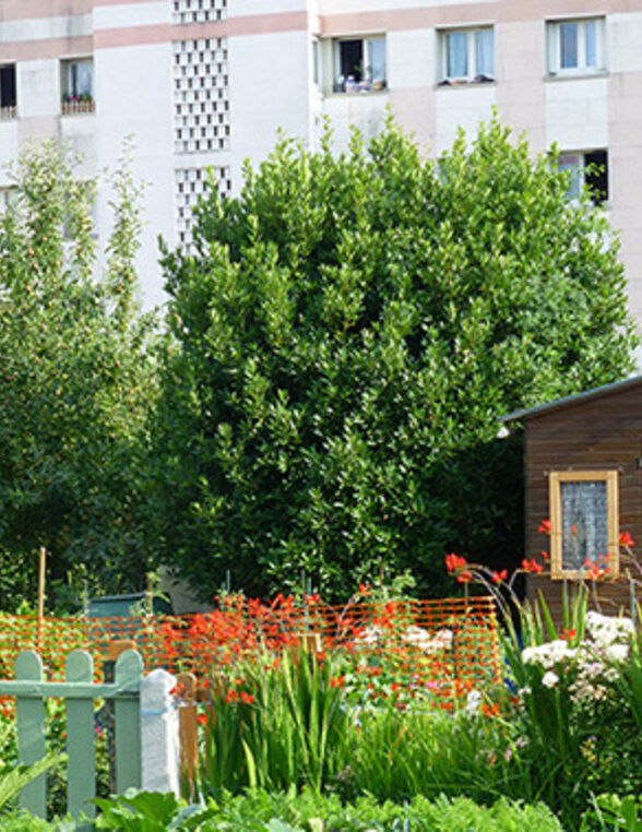 Journée Européennes du Patrimoine - Visite des jardins Familiaux des Petits-Bois_Versailles