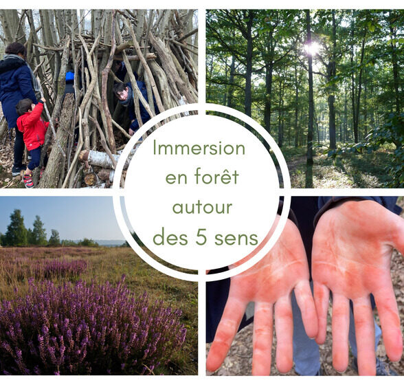 Immersion en forêt autour des 5 sens : enfant neuroatypique (TSA/ TDAH)_Verneuil-sur-Seine