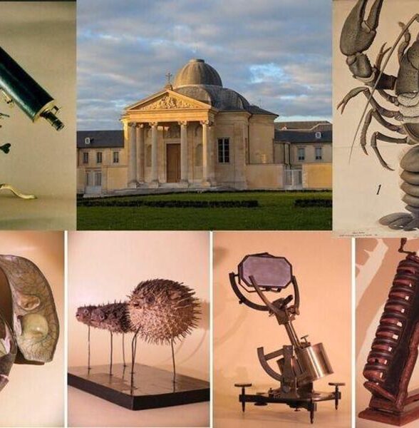 Journées Européennes du Patrimoine - Visite du musée historique du lycée Hoche_Versailles