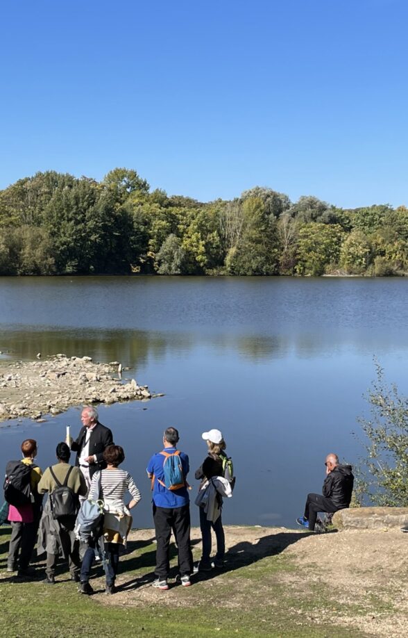 Sortie ornithologique dans le parc de la boucle de la Seine_Montesson