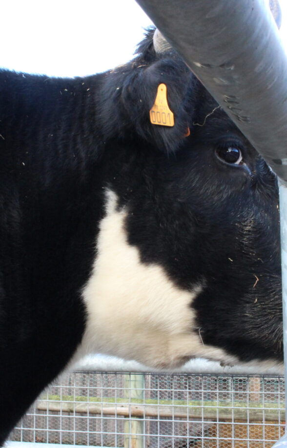 Ferme de Gally