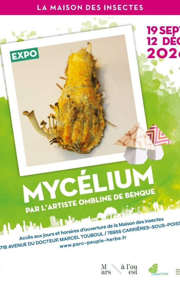 Exposition Mycélium_Carrières-sous-Poissy