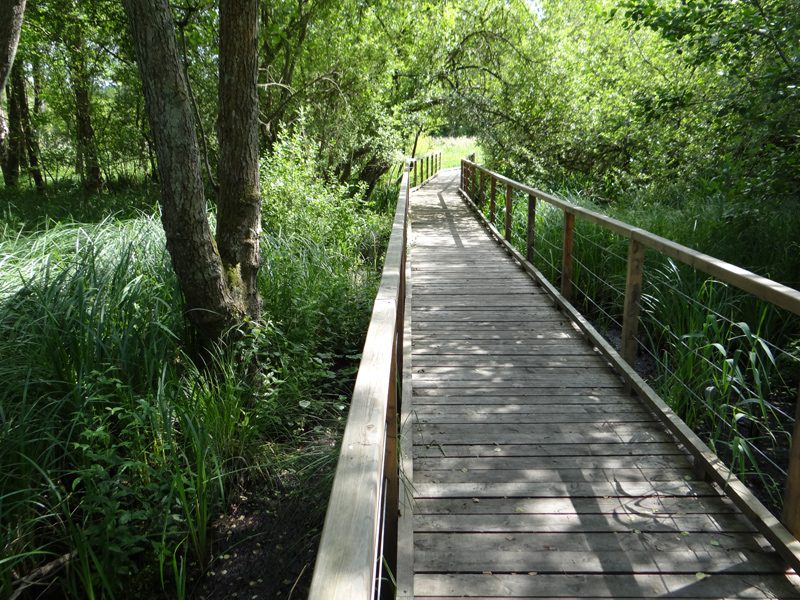 Sentier de Maincourt ©CD78